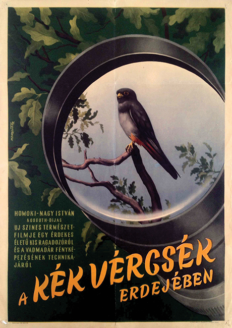 81. in the forest of the red footed falcons