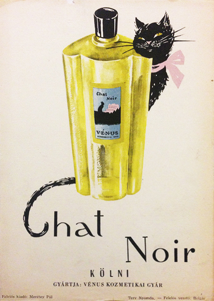 Chat noir