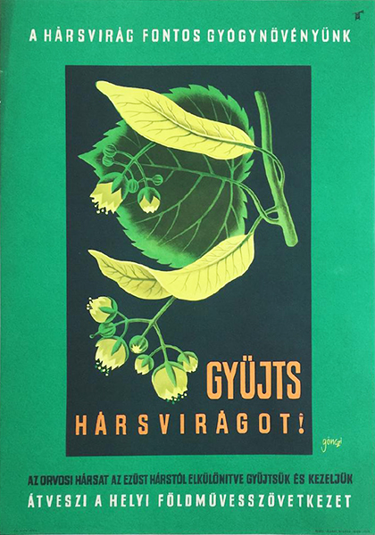 Go%cc%88nczi gebhardt tibor collect linden flowers the agricultural cooperative 1966 original hungarian propaganda poster