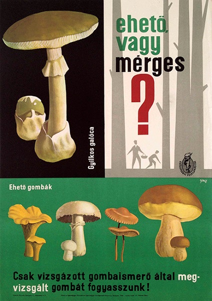 Edible or Poisonous?
