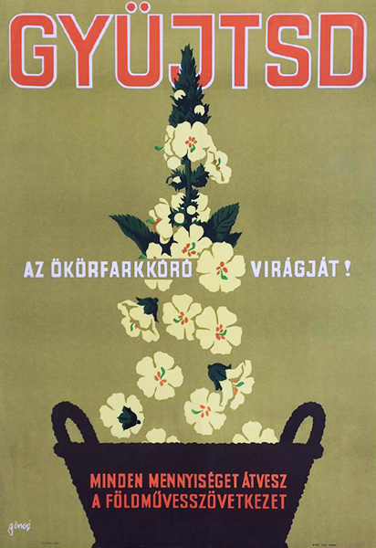 Gönczi Gebhardt Tibor - Collect mullein flowers! 1964 original Hungarian propaganda poster