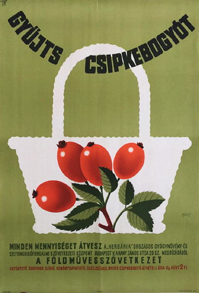 Gönczi Gebhardt Tibor - Collect rosehips 1965 original Hungarian propaganda poster