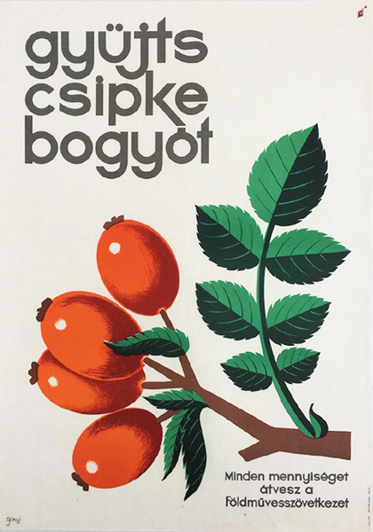 Gönczi Gebhardt Tibor - Collect rosehips - the Agricultural Cooperative 1960s original Hungarian propaganda poster