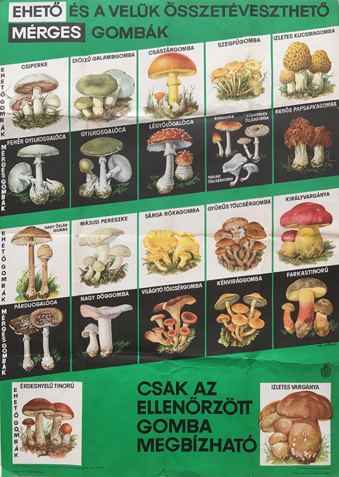Gyorgy Pal - Edible or poisonous mushrooms 1975 Hungarian poster