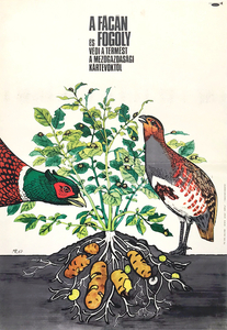The pheasant and the partridge protect crops from agricultural pests