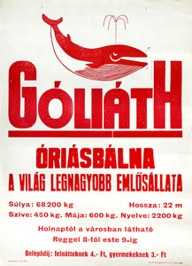 Goliath the giant whale - The largest mammal in the world