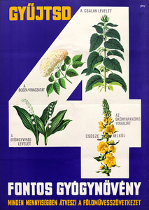 Collect 4 important herbs- The Agricultural Cooperative buys all quantities