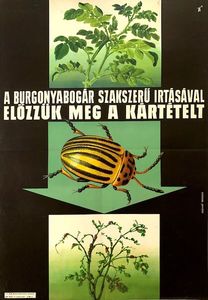 Exterminate the potato beetle