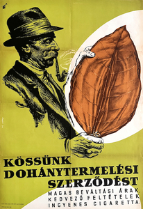 Let's sign a tobacco production contract