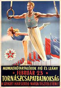 Labor Reserves Boys' and Girls' Gymnastics Team Championship