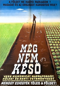 It’s not too late! Sow, to avoid your land be taken away!